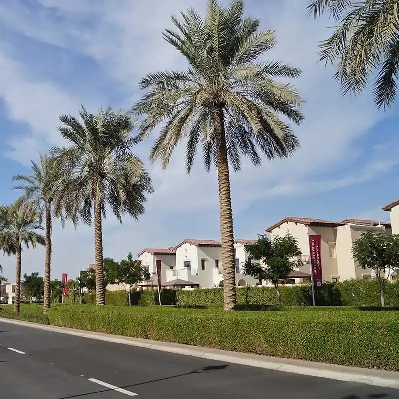 Arabian Ranches 2
