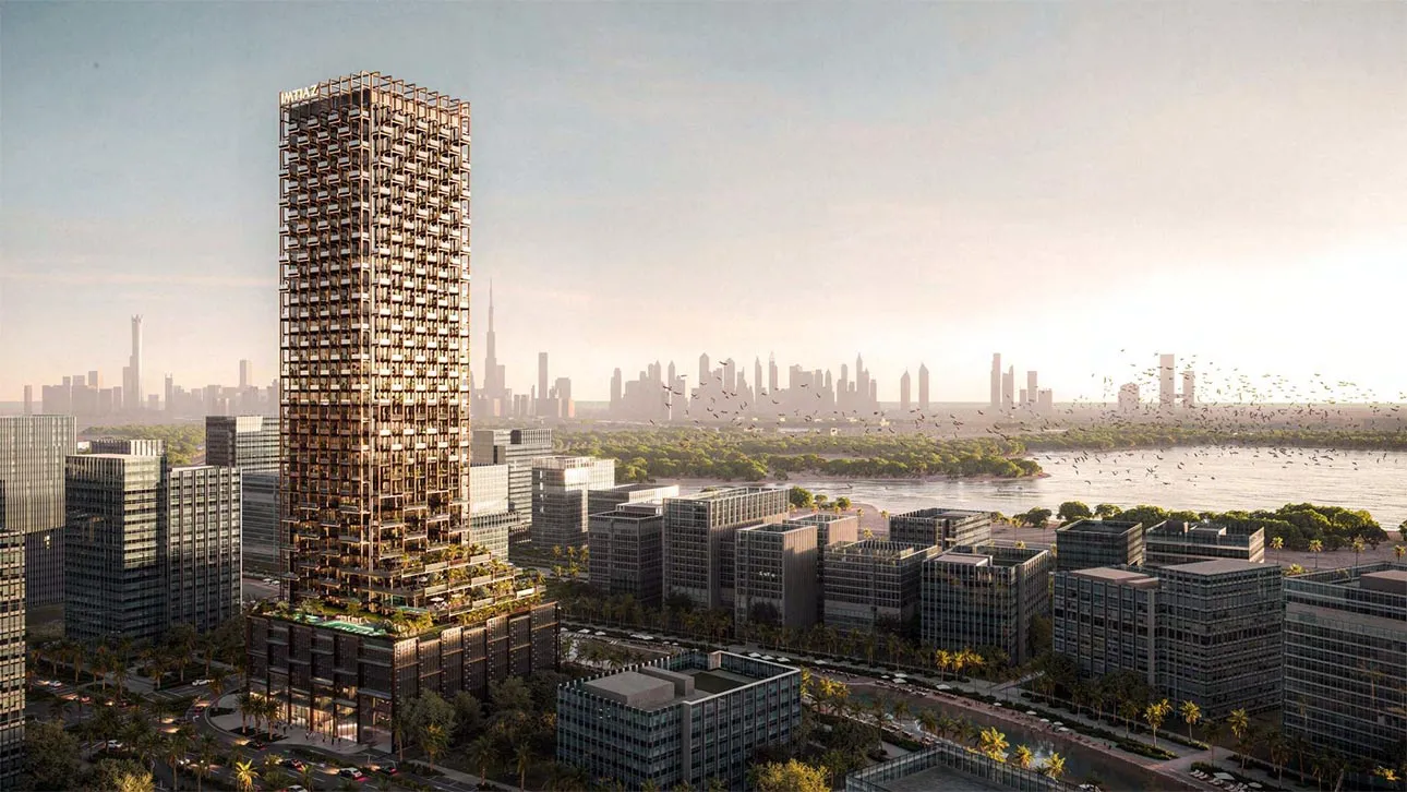 The Symphony by Imtiaz Banner