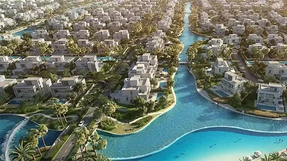 Palmiera Collective at The Oasis