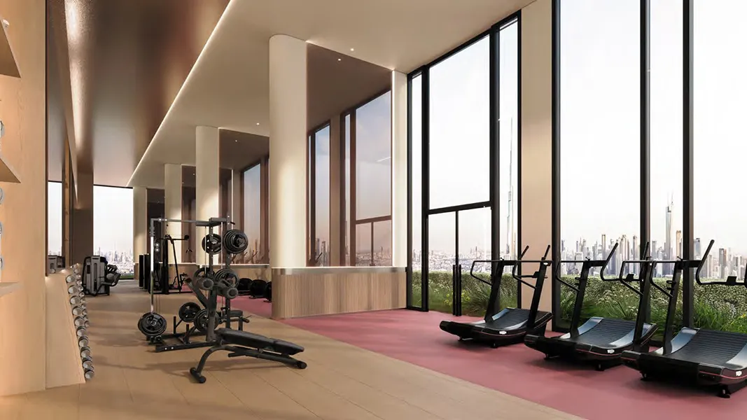 Luxury indoor gym