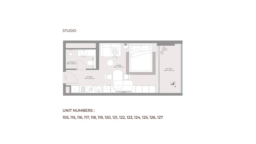 Studio Apartment