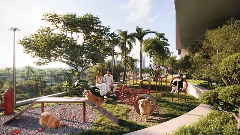 Kids play area