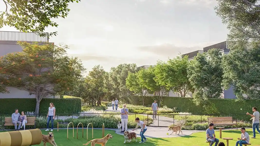 Park and play area