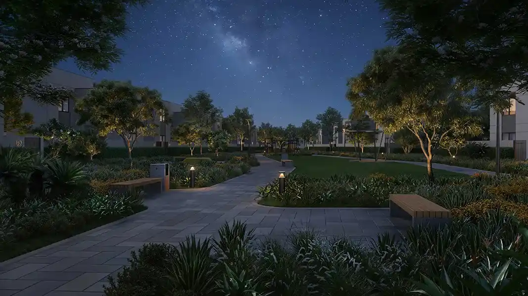 Night garden