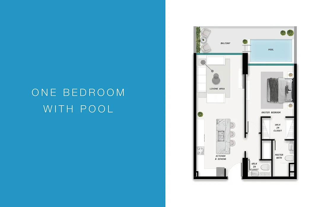 1 Bedroom Apartment