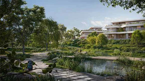 Moringa Mansions