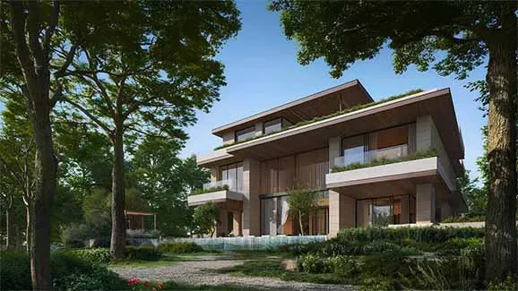 Moringa Mansions